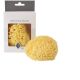 Kyte Baby Natural Sea Sponge 4-4.5 Inches
