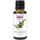 NOW Essential Oils Eucalyptus Oil 30ml @